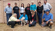 Boarding Kennels for Dogs